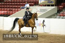 18BUCK_01370 proof