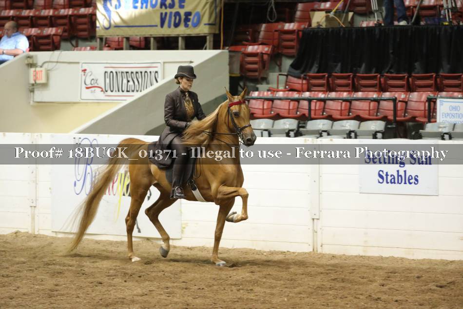 Proof 18BUCK_01371