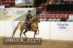18BUCK_01371 proof