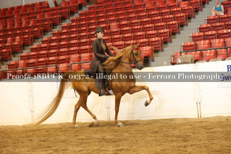 Proof 18BUCK_01372