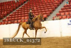 18BUCK_01372 proof