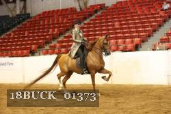 18BUCK_01373 proof