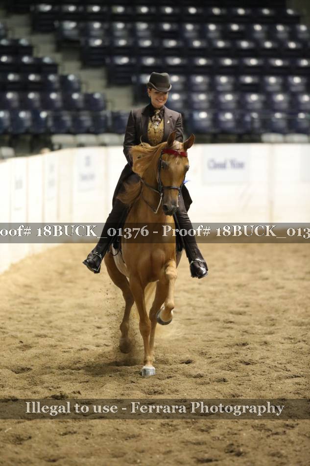 Proof 18BUCK_01376