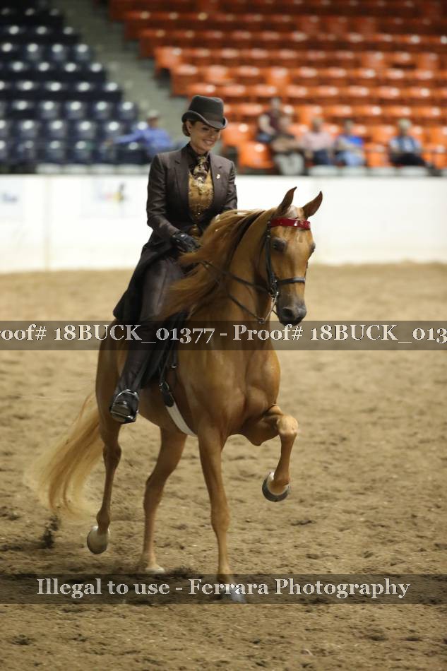 Proof 18BUCK_01377