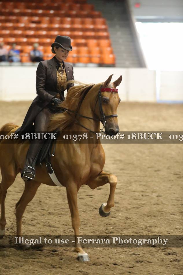 Proof 18BUCK_01378
