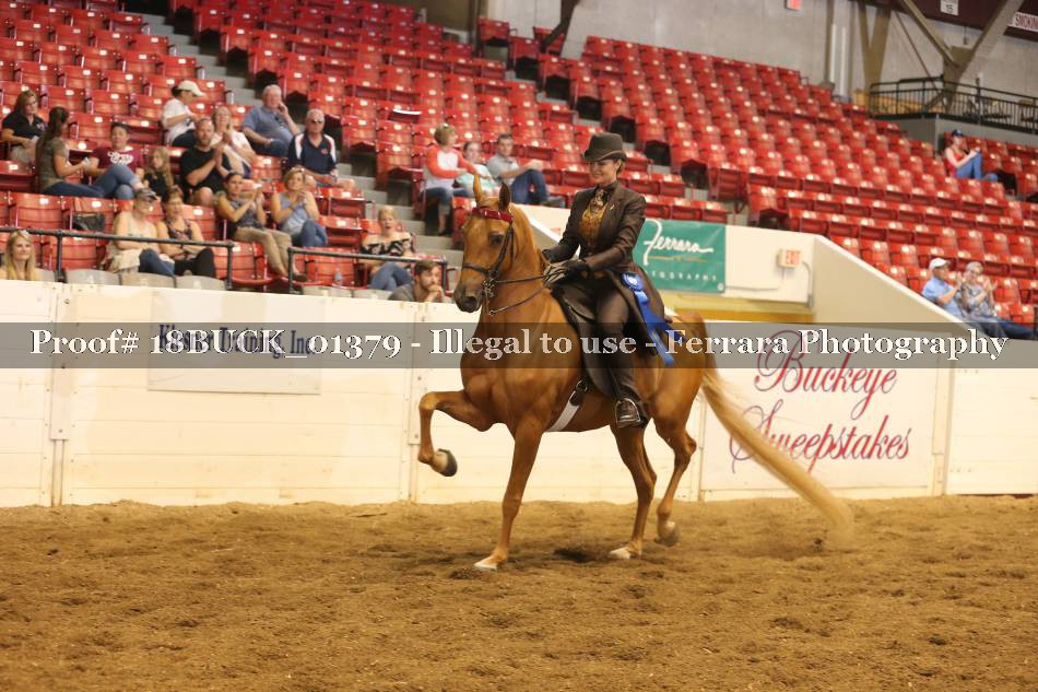 Proof 18BUCK_01379