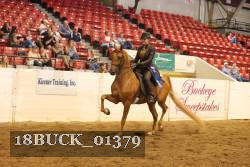 18BUCK_01379 proof