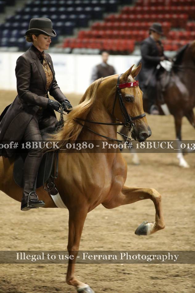 Proof 18BUCK_01380