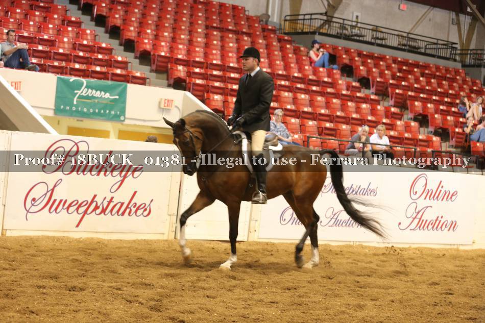 Proof 18BUCK_01381