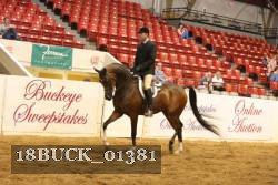 18BUCK_01381 proof
