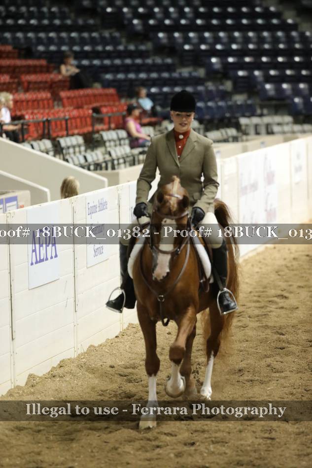 Proof 18BUCK_01382