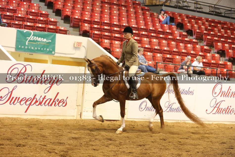 Proof 18BUCK_01383