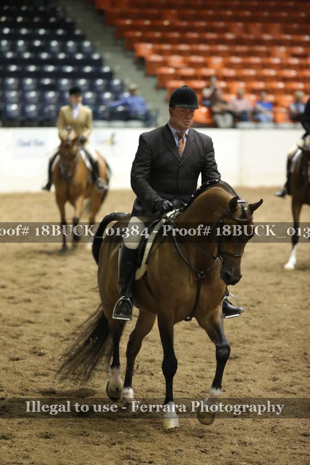 Proof 18BUCK_01384
