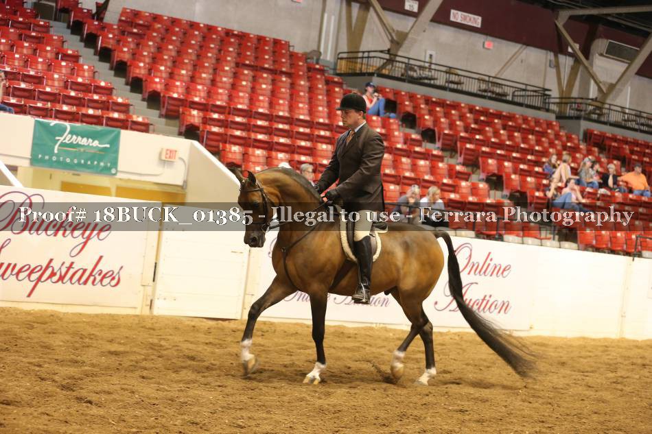 Proof 18BUCK_01385