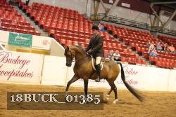 18BUCK_01385 proof