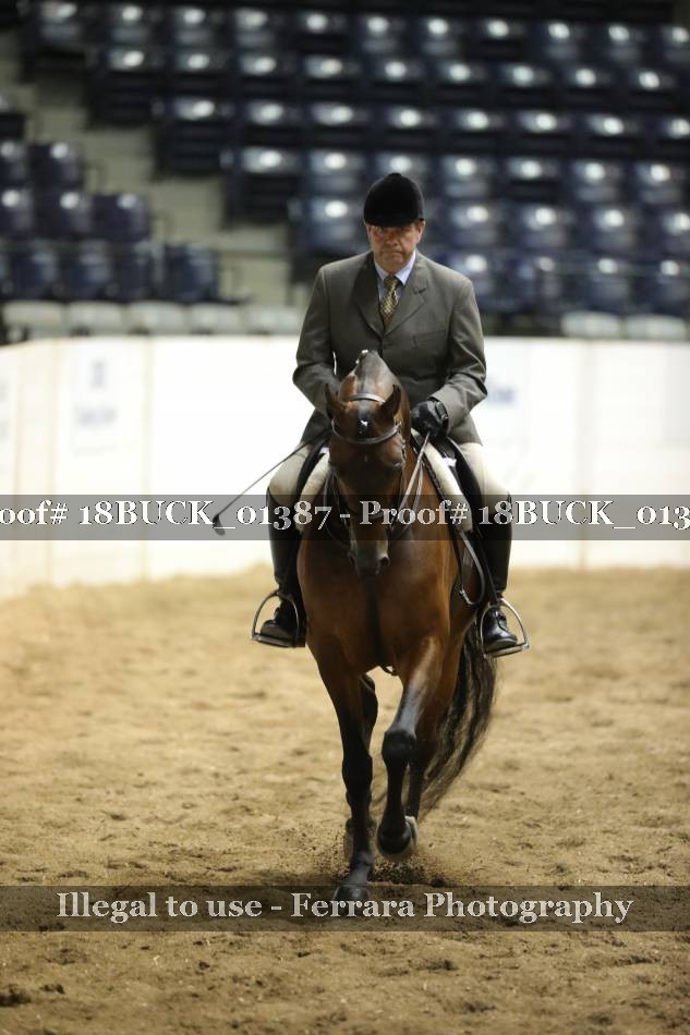 Proof 18BUCK_01387