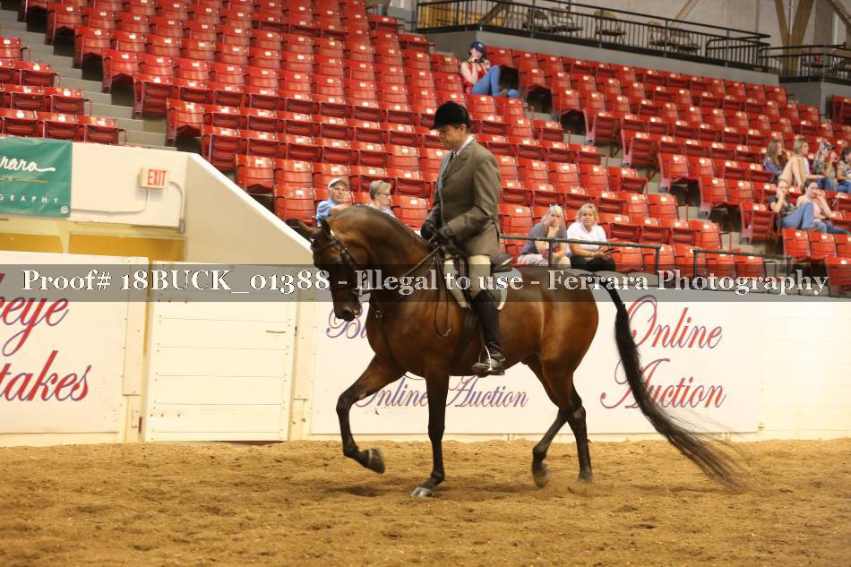 Proof 18BUCK_01388