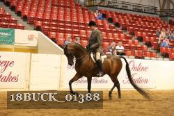 18BUCK_01388 proof