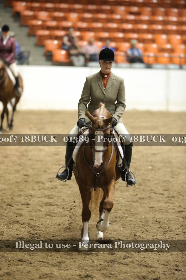 Proof 18BUCK_01389