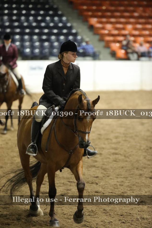 Proof 18BUCK_01390