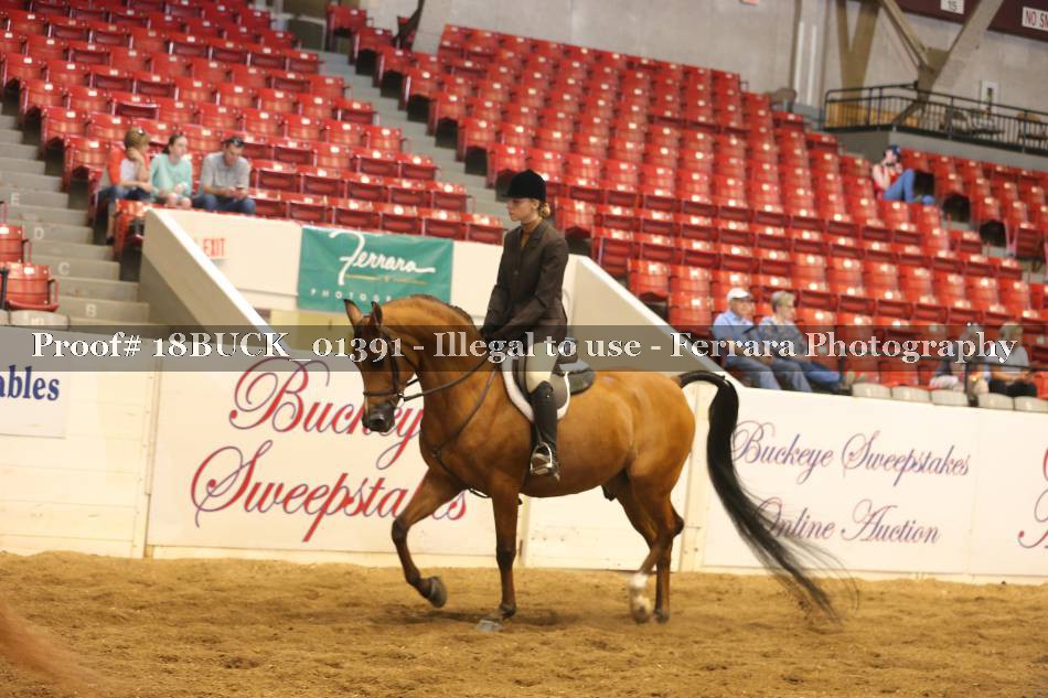 Proof 18BUCK_01391
