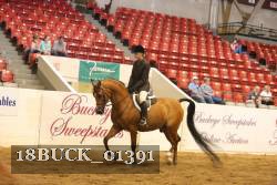 18BUCK_01391 proof