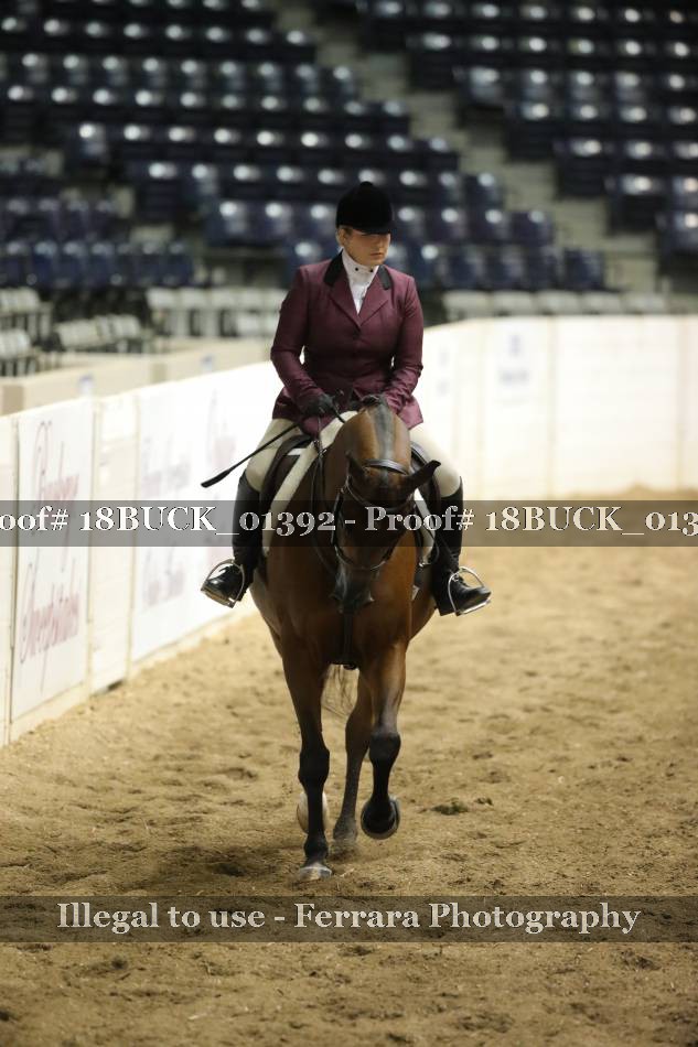 Proof 18BUCK_01392