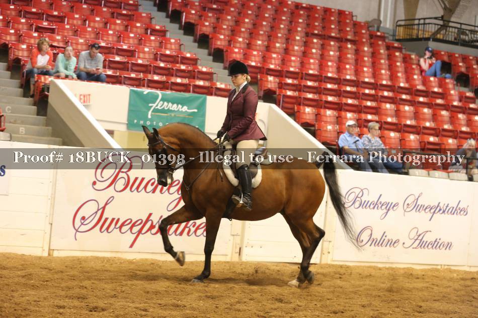 Proof 18BUCK_01393