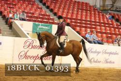 18BUCK_01393 proof