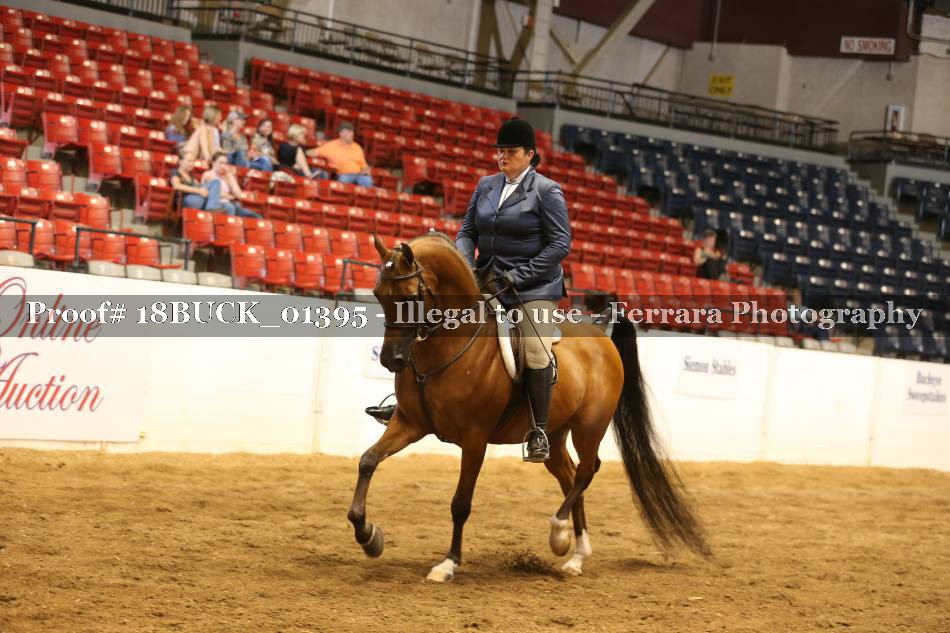 Proof 18BUCK_01395