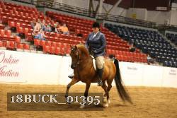 18BUCK_01395 proof
