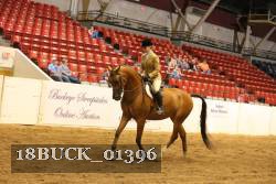 18BUCK_01396 proof