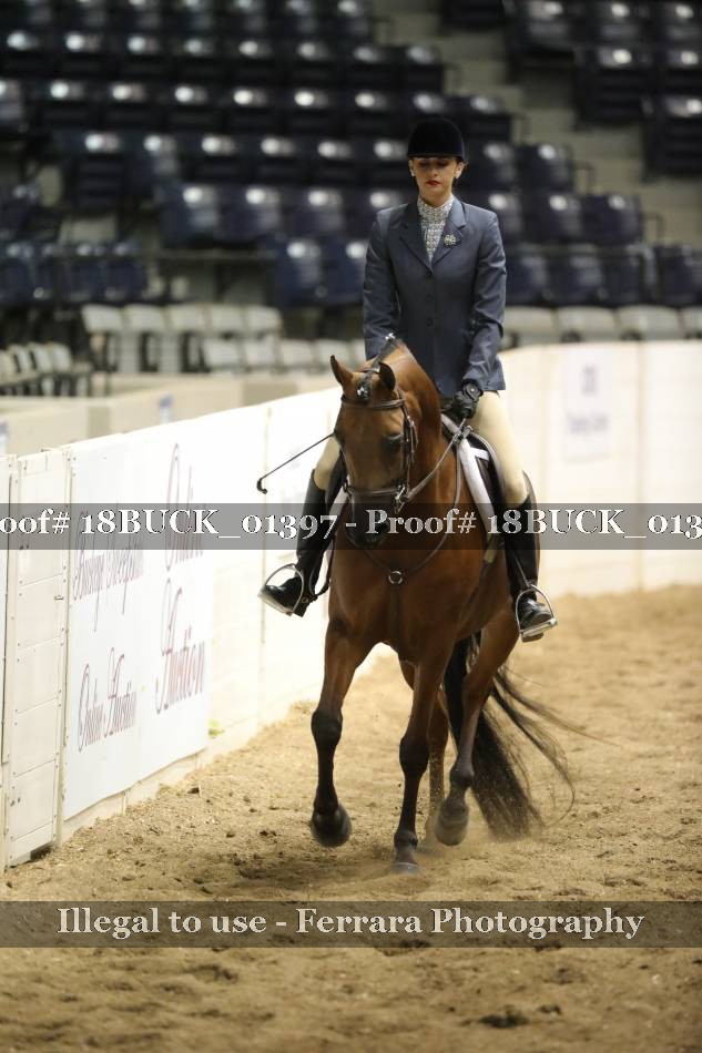 Proof 18BUCK_01397