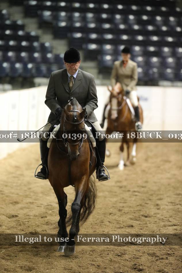Proof 18BUCK_01399