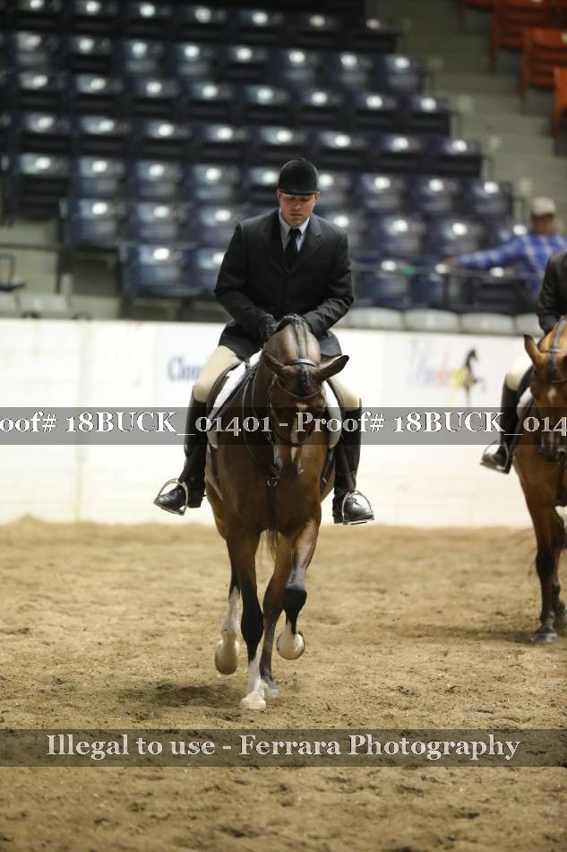 Proof 18BUCK_01401