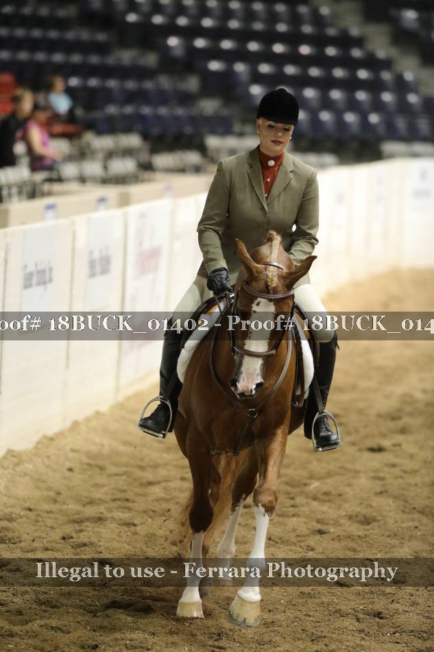 Proof 18BUCK_01402