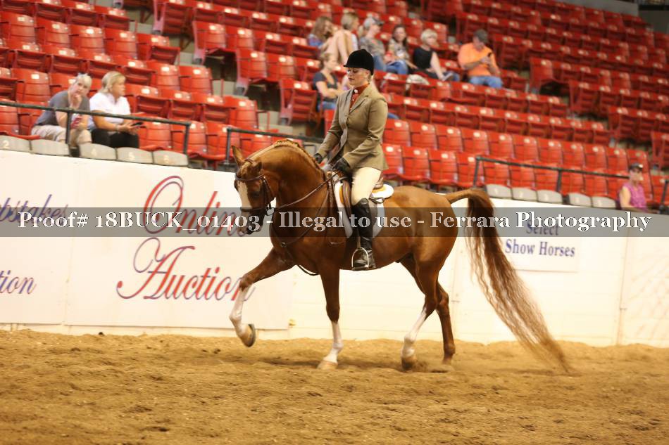 Proof 18BUCK_01403