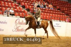 18BUCK_01403 proof