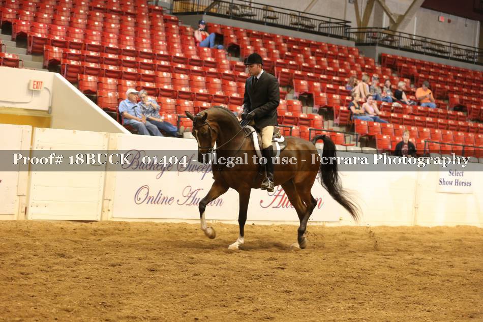 Proof 18BUCK_01404