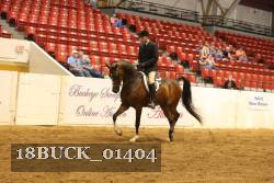 18BUCK_01404 proof