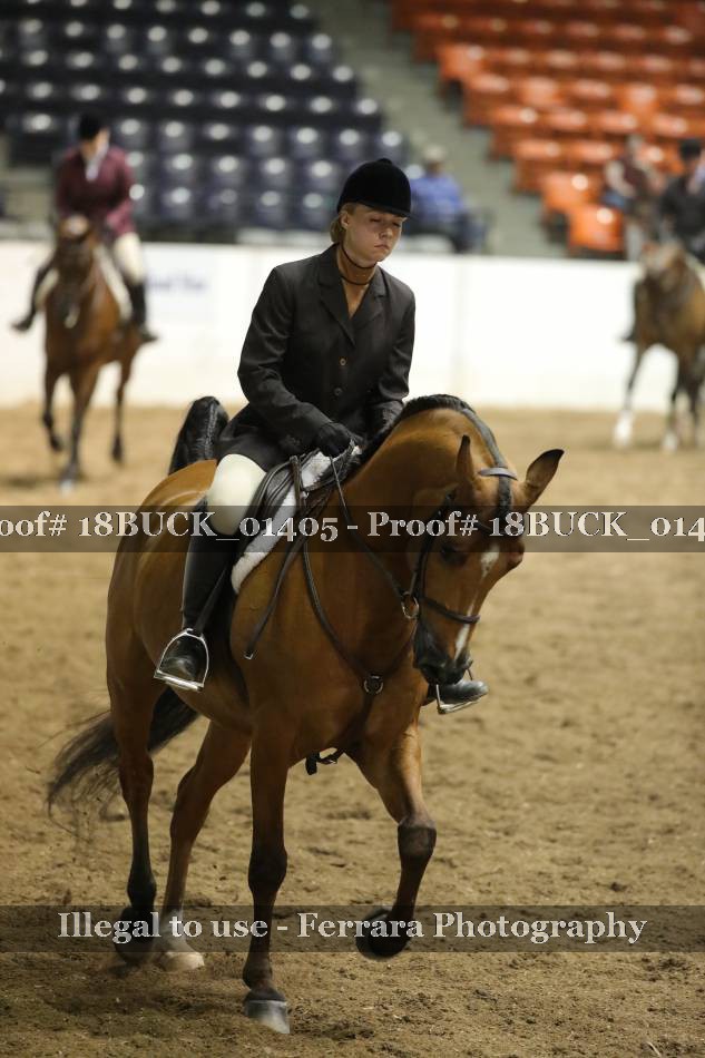 Proof 18BUCK_01405