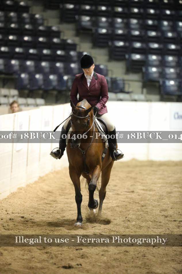 Proof 18BUCK_01406