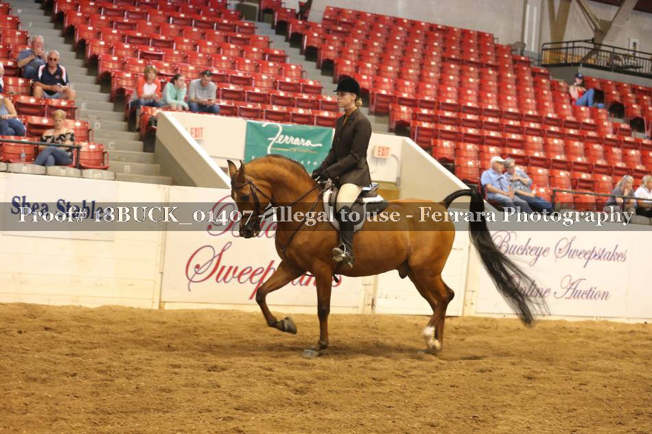 Proof 18BUCK_01407