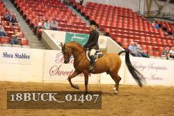 18BUCK_01407 proof