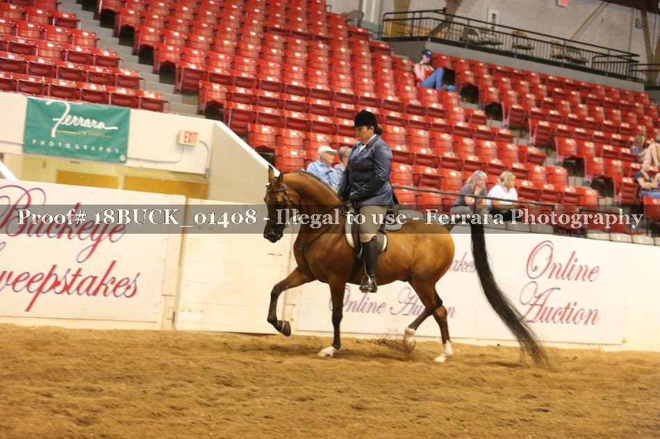 Proof 18BUCK_01408