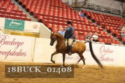 18BUCK_01408 proof