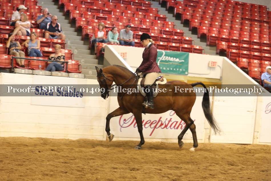 Proof 18BUCK_01409