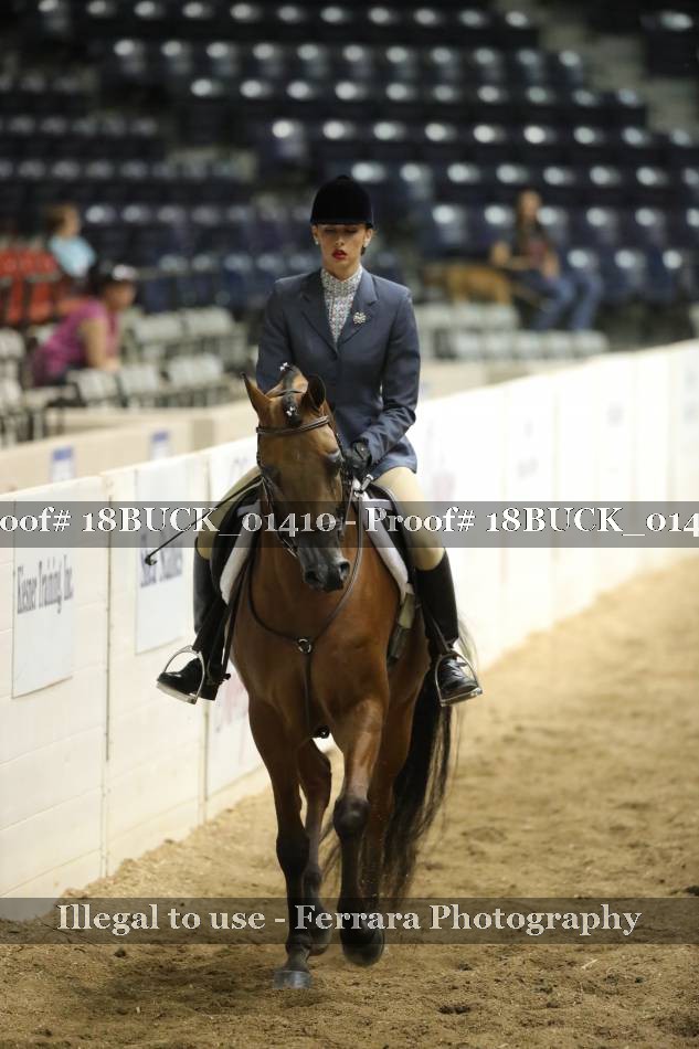 Proof 18BUCK_01410