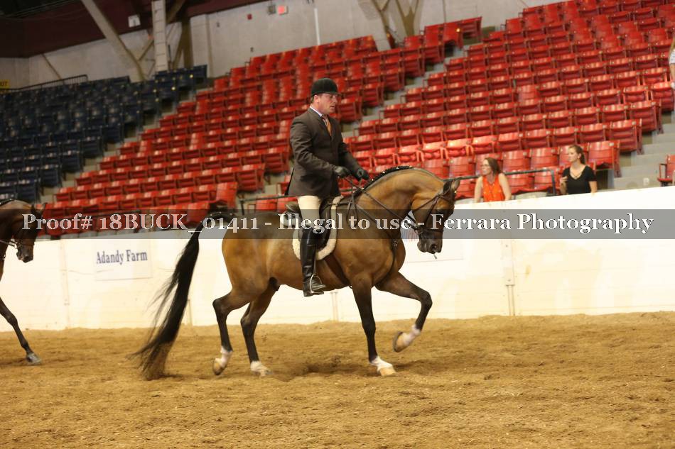 Proof 18BUCK_01411
