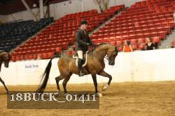 18BUCK_01411 proof